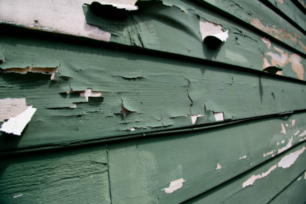 Best Construction Debris Removal  in Buxton, NC